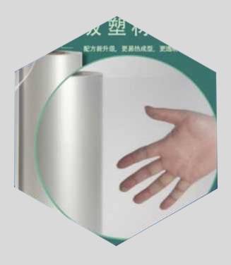 研發(fā)團隊介紹